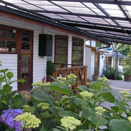 Complejo Cabanas Petalos Villarrica Luaran gambar