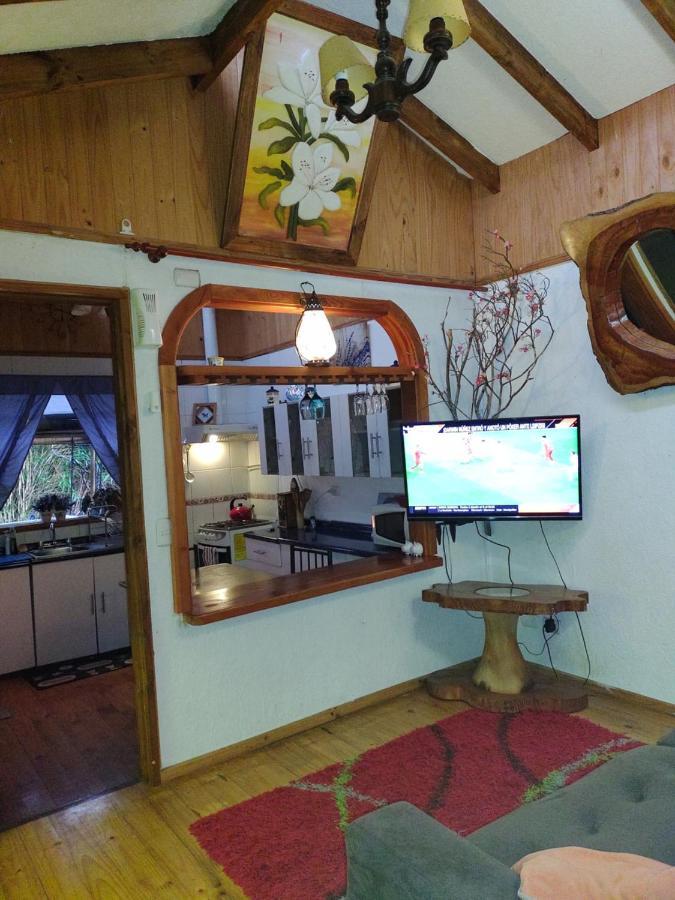 Complejo Cabanas Petalos Villarrica Luaran gambar