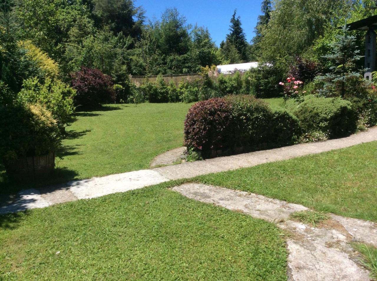 Complejo Cabanas Petalos Villarrica Luaran gambar